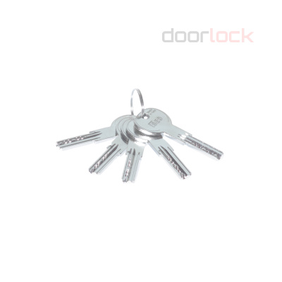 Цилиндровый механизм ISEO R65 NI 30хK30 мм никелированный, 5 ключей с пластиковыми колпачками